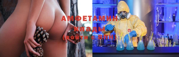 ПСИЛОЦИБИНОВЫЕ ГРИБЫ Балабаново