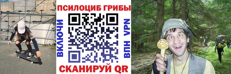 Галлюциногенные грибы GOLDEN TEACHER  купить закладку  hydra tor  Магас 